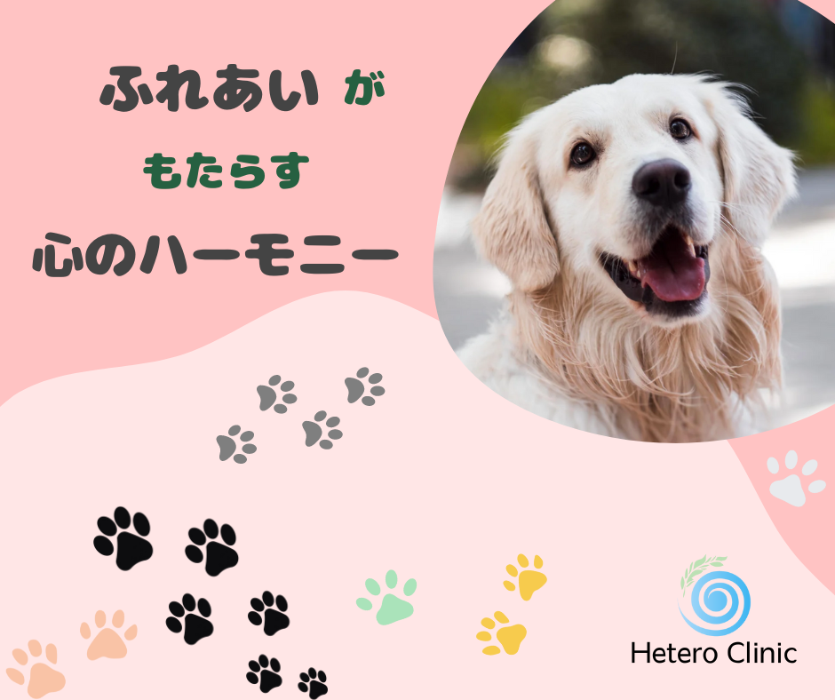 犬を飼うと健康寿命が延びる？驚きの研究データとその理由を解説！