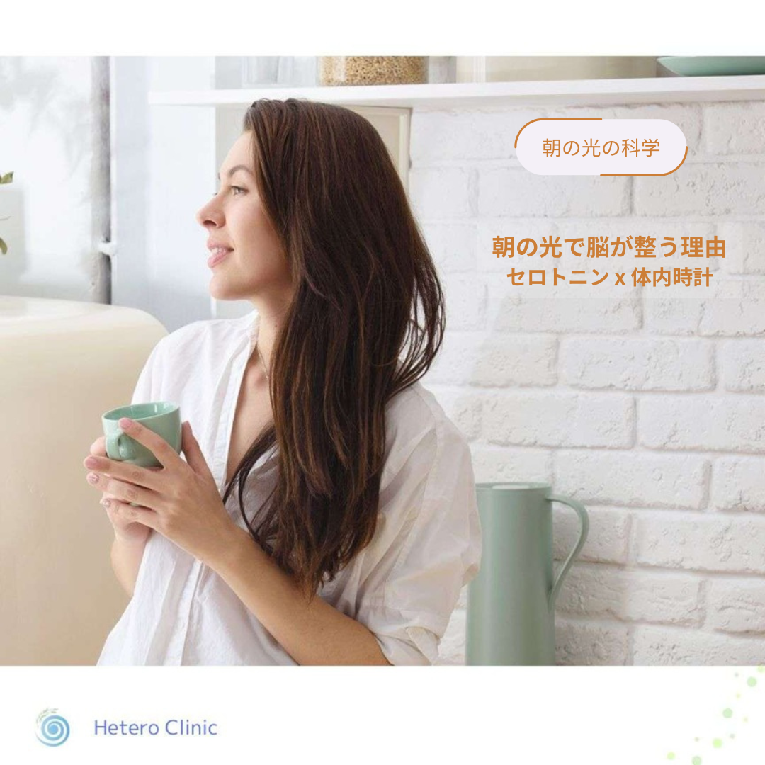 🧠朝の光で脳が整うのはなぜ？｜50代女性のための「セロトニン×体内時計」やさしい科学