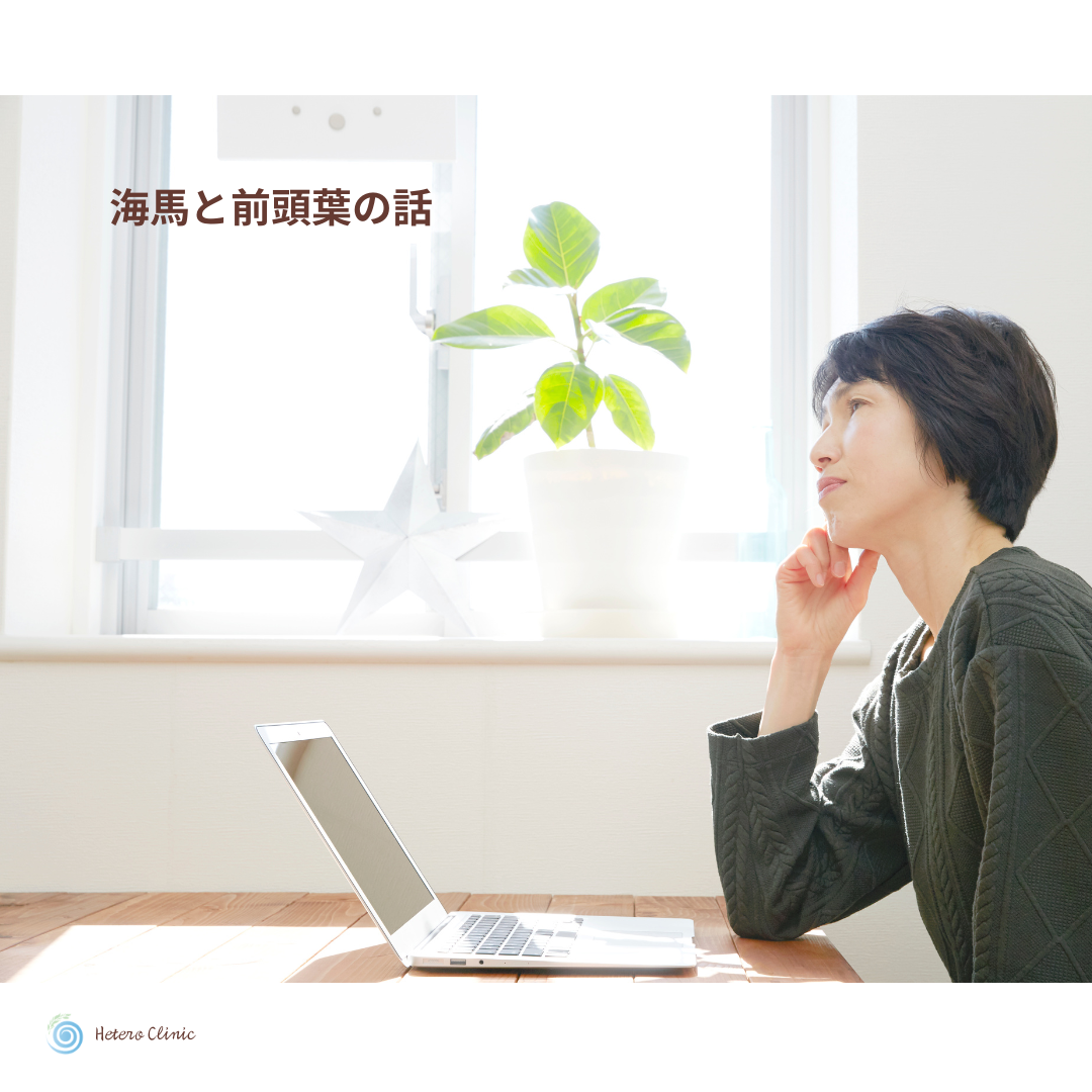 🧠 記憶力と判断力を支える「海馬」と「前頭前野」｜50代女性が見直したい生活習慣