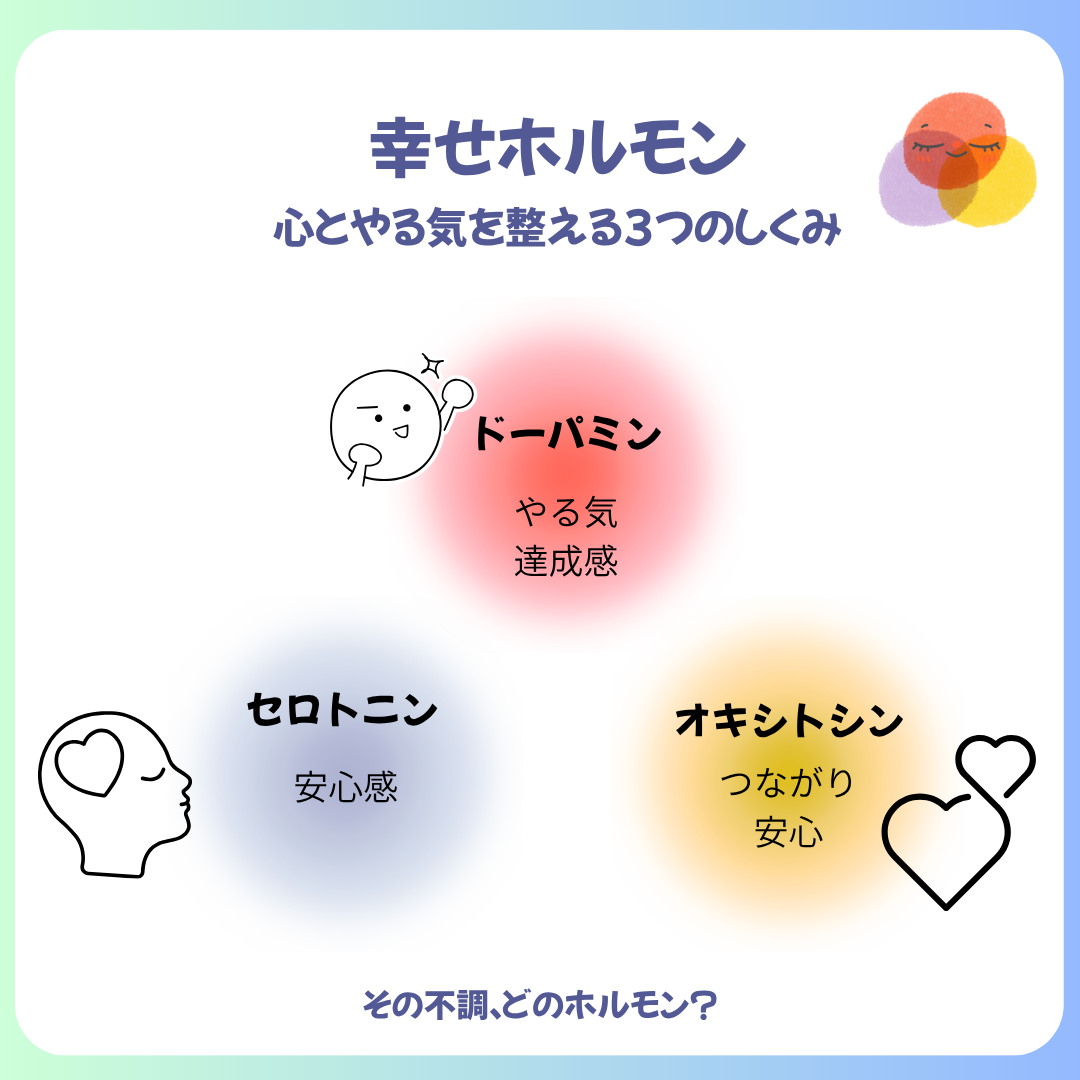 🧠 セロトニン・ドーパミン・オキシトシンをやさしく解説 ― 50代女性の「今の不調がわかる」幸せホルモンの整え方 ―